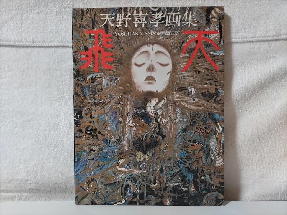 【天野喜孝 2冊】飛天／魔天　画集　eeo
