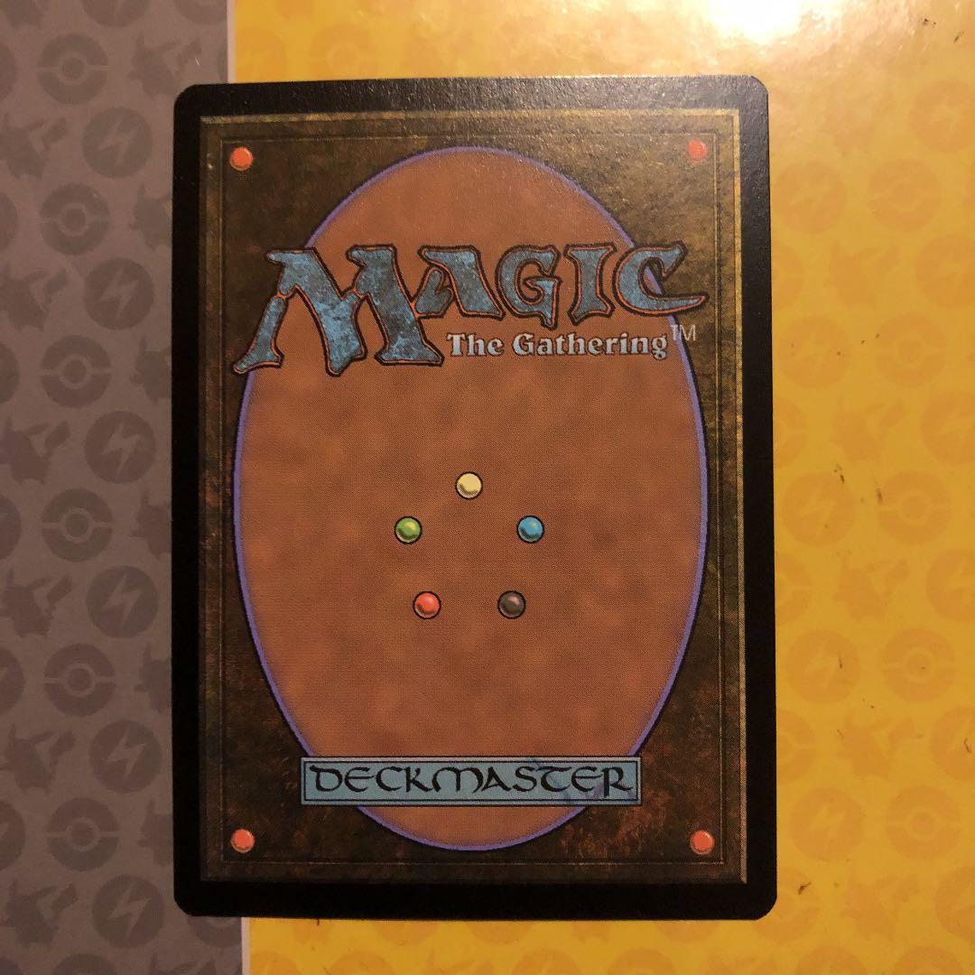 MTG 湿地の干潟　旧枠　ロシア語