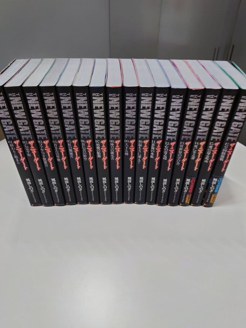THE NEW GATE 1-15+17巻（計16冊）セット