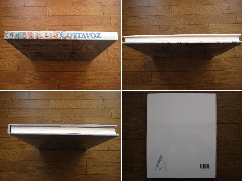 画集　Cottavoz Andre　アンドレ・コタボ　現代 具象画