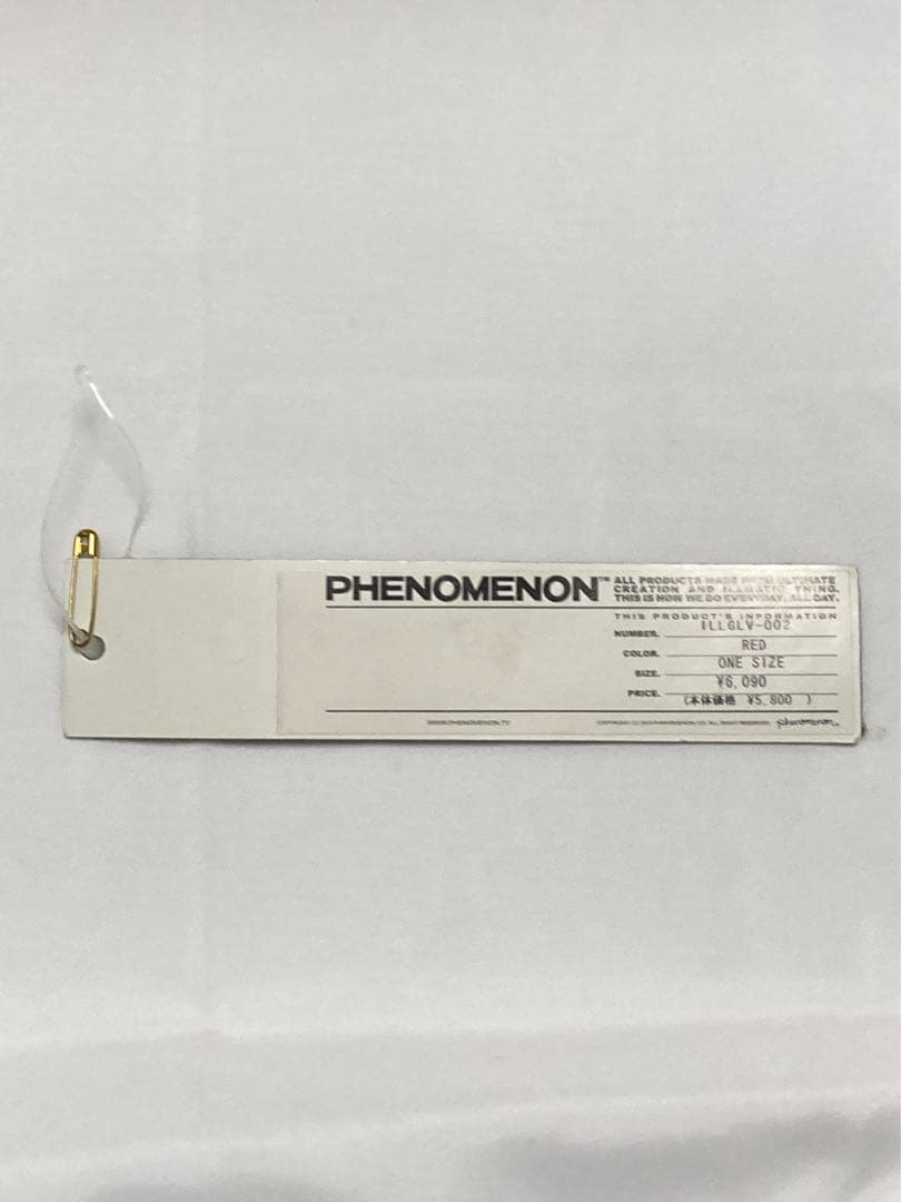 SOMEHOW品　　　　　　PHENOMENON 手袋 Long Arm
