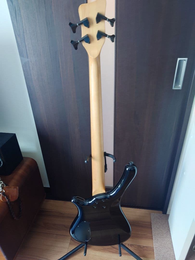 Warwick RockBass Fortress　エレキベース