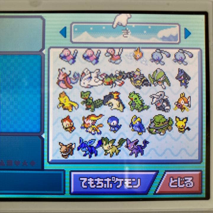 交渉可 ポケモンダイヤモンドパール スカーレットバイオレット