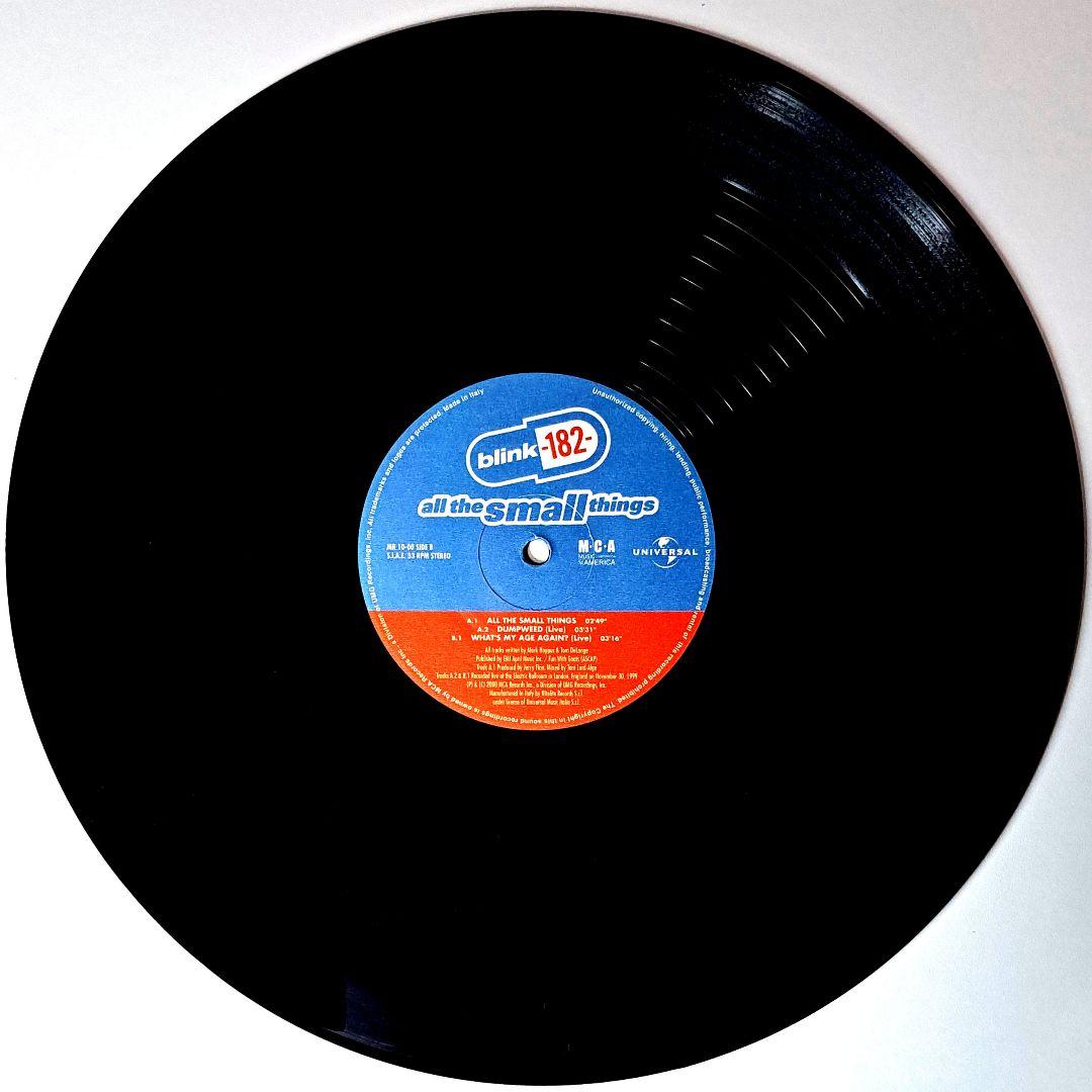 Blink-182　All The Small Things　レコード　12