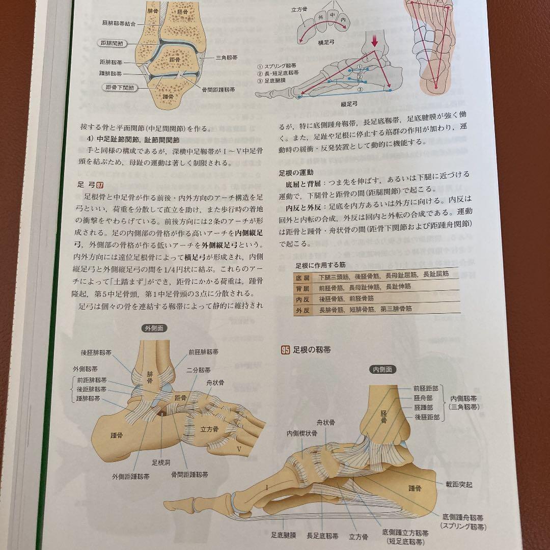 カラー図解 人体の正常構造と機能(全10巻縮刷版・全1冊) 裁断済み