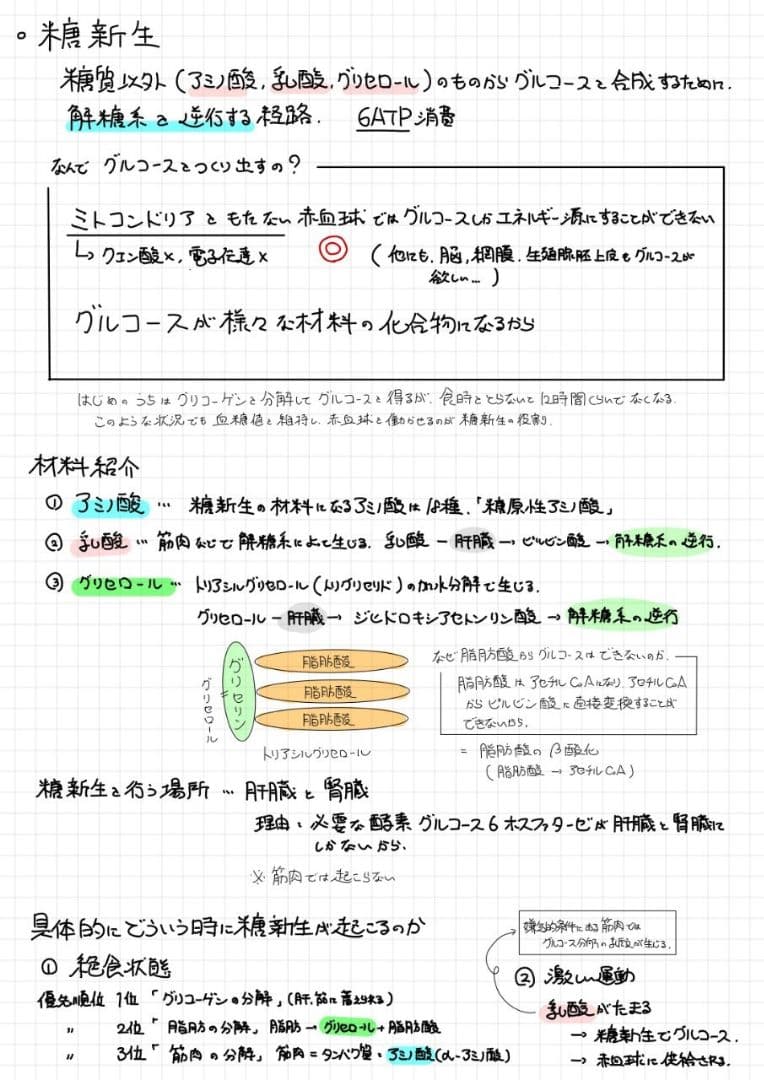 ※Rxxxma 2024改訂版 エッセンシャル細胞生物学 自作問題集