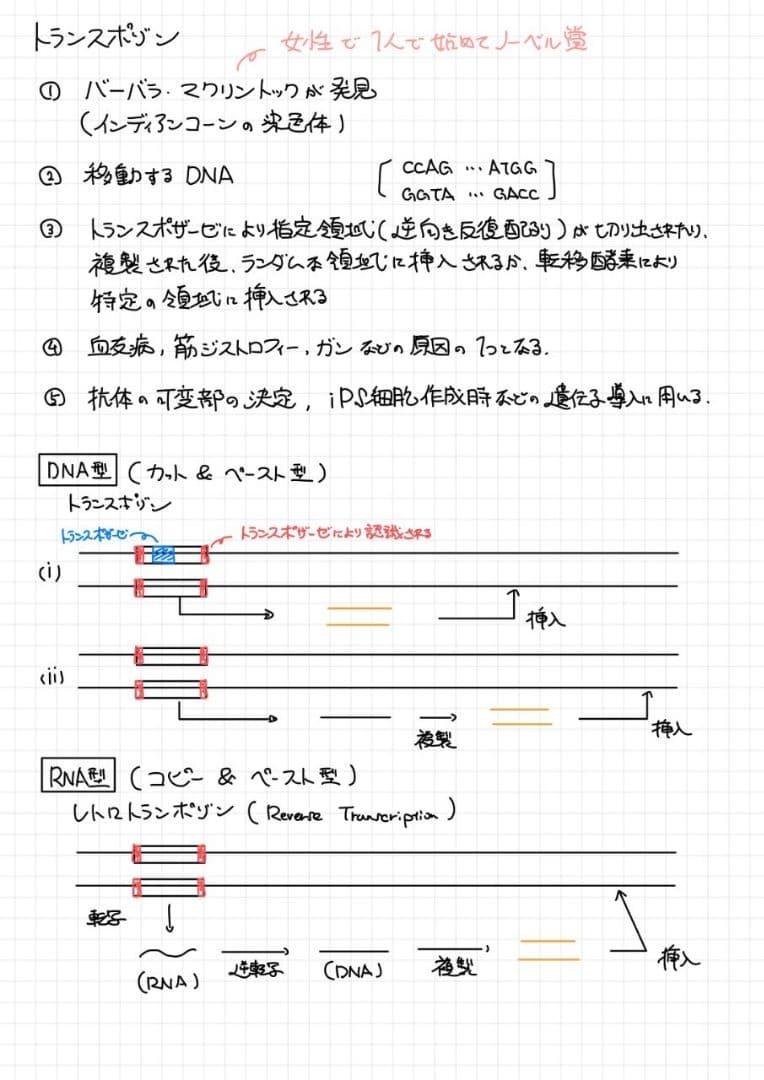 ※Rxxxma 2024改訂版 エッセンシャル細胞生物学 自作問題集