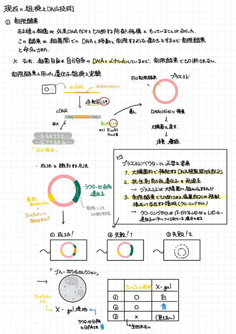 ※Rxxxma 2024改訂版 エッセンシャル細胞生物学 自作問題集