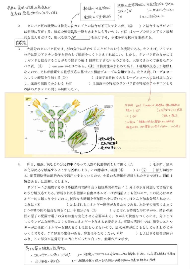 ※Rxxxma 2024改訂版 エッセンシャル細胞生物学 自作問題集