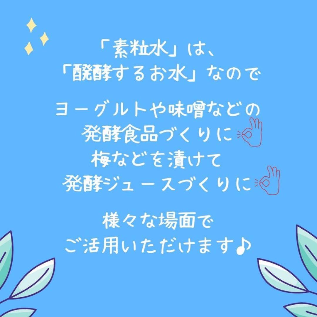 ✨フリーサイエンスカートリッジ✨キッチン用シャワー用2個セット✨レターパック速達