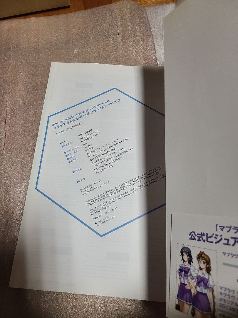 マブラヴオルタネイティヴメモリアルアートブック = MUV-LUV ALTER…