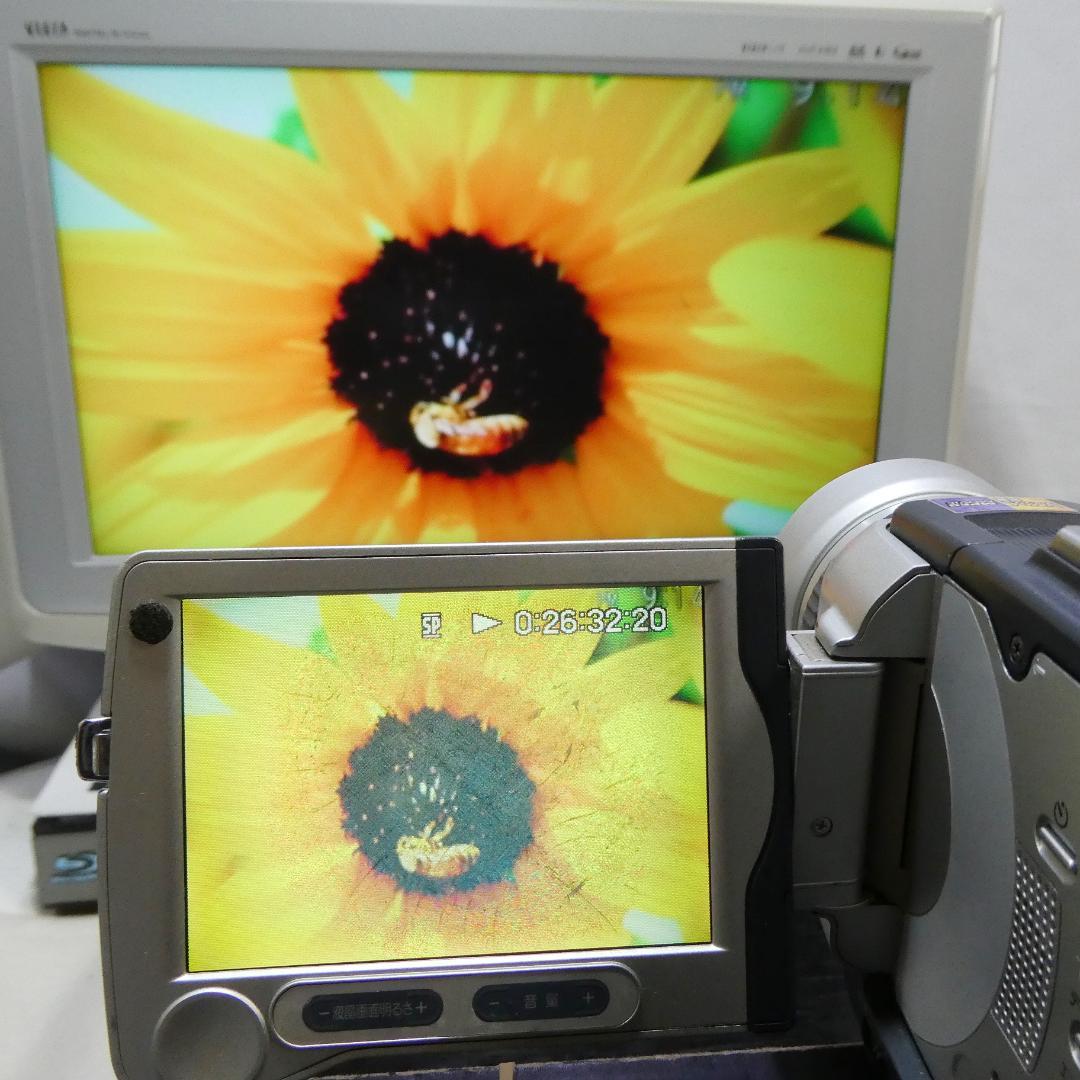 ソニーDCR-TRV30 【動作良好】MiniDV ビデオカメラ　ダビングに最適