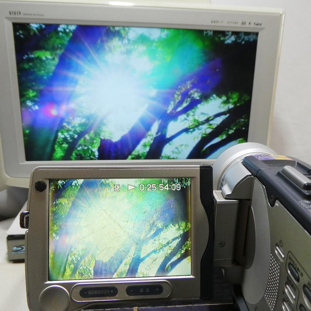 ソニーDCR-TRV30 【動作良好】MiniDV ビデオカメラ　ダビングに最適