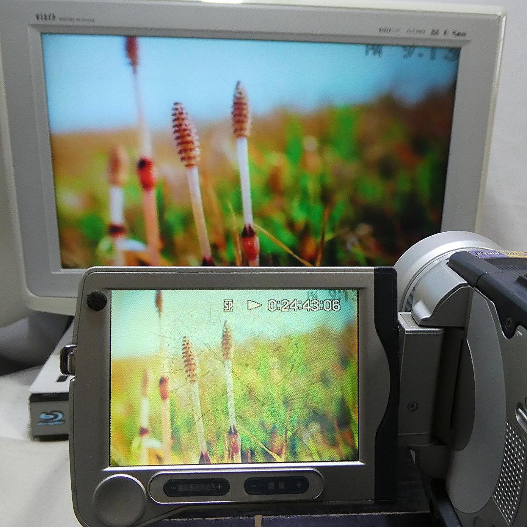 ソニーDCR-TRV30 【動作良好】MiniDV ビデオカメラ　ダビングに最適