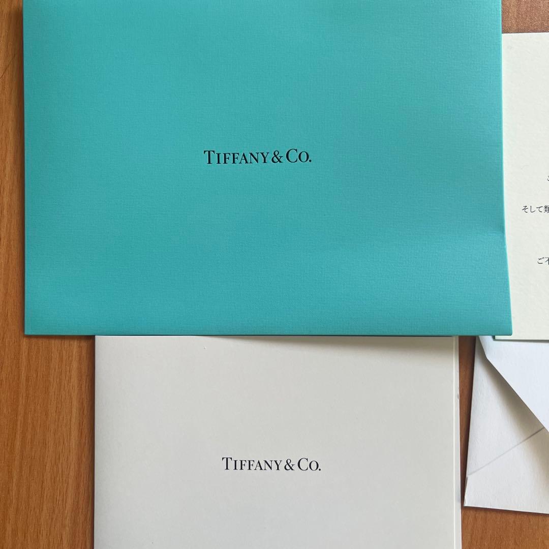 TIFFANY& CO チェーン スターリングシルバー　46cm