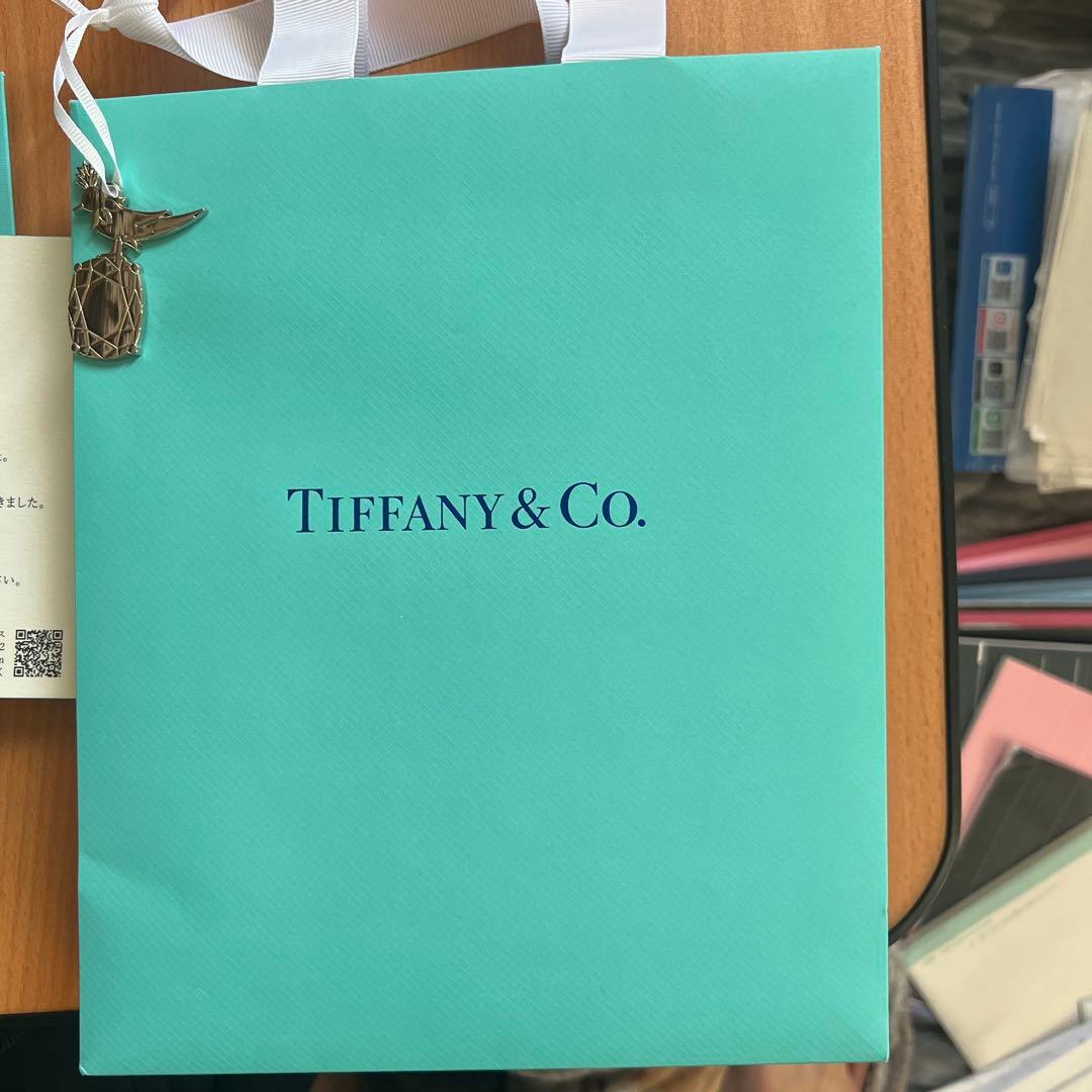 TIFFANY& CO チェーン スターリングシルバー　46cm