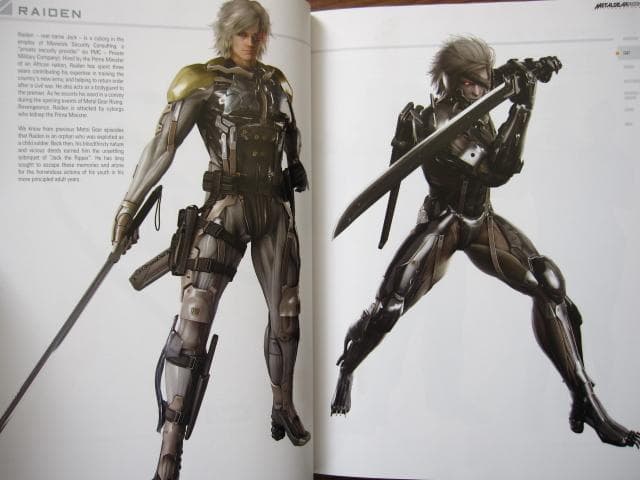 l Gear Rising: Revengeance　リトグラフ付き