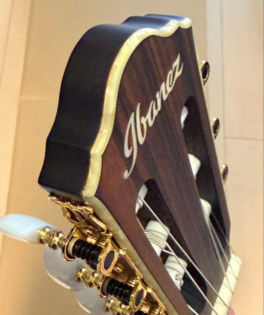 Ibanez TOD10N-TKF Tim Henson シグネチャーモデル