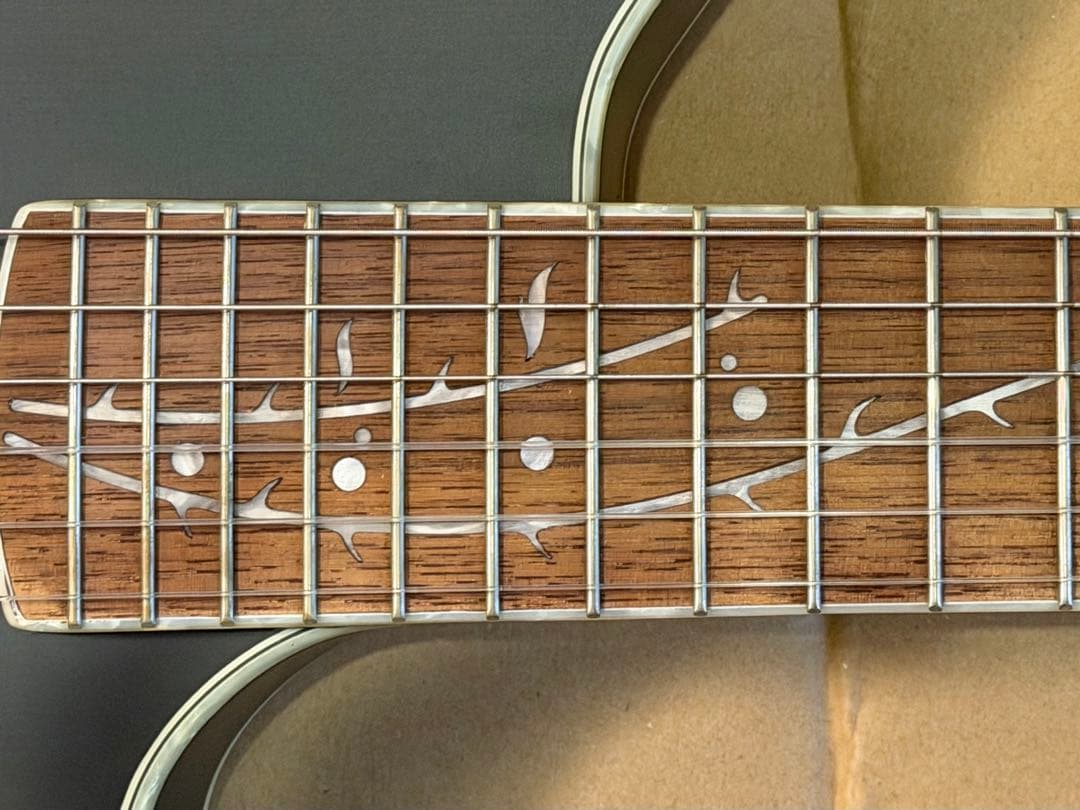 Ibanez TOD10N-TKF Tim Henson シグネチャーモデル