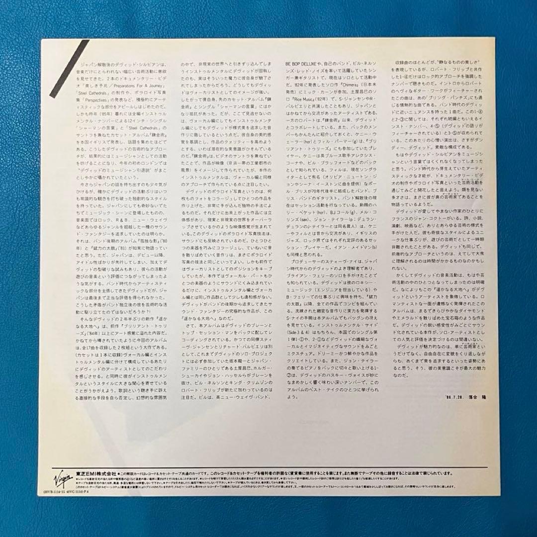 【国内プロモ盤LP】David Sylvian/ 「Gone To Earth」