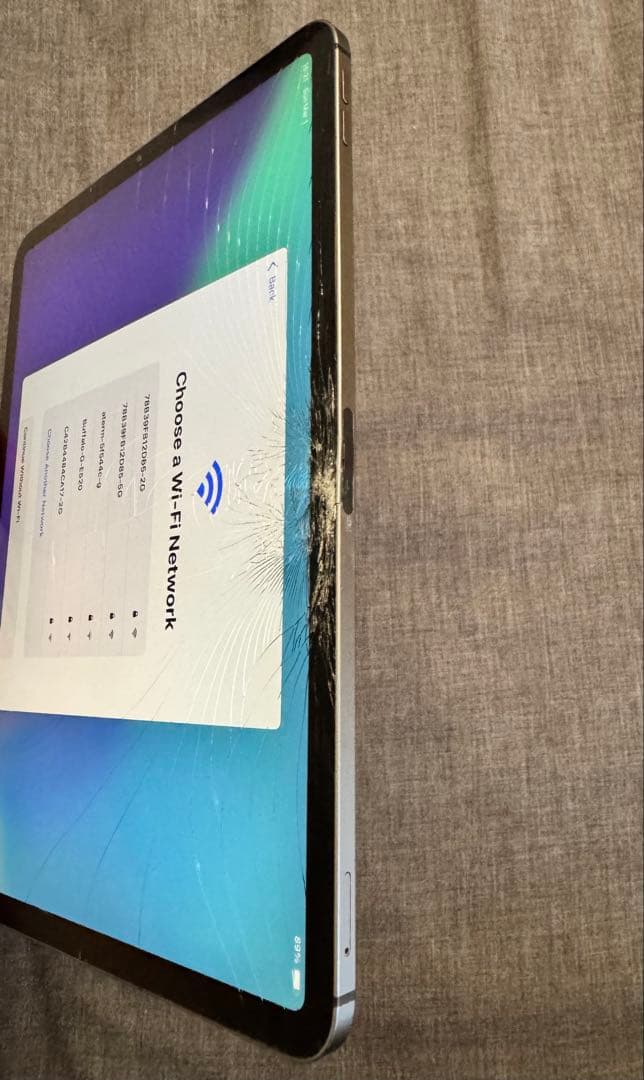 iPadPro11インチ(第1世代)WiFi/Cellular256GBジャンク