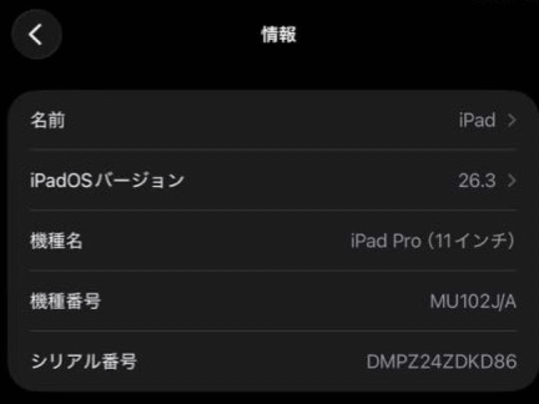 iPad pro 11インチ　256GB スペースグレイ
