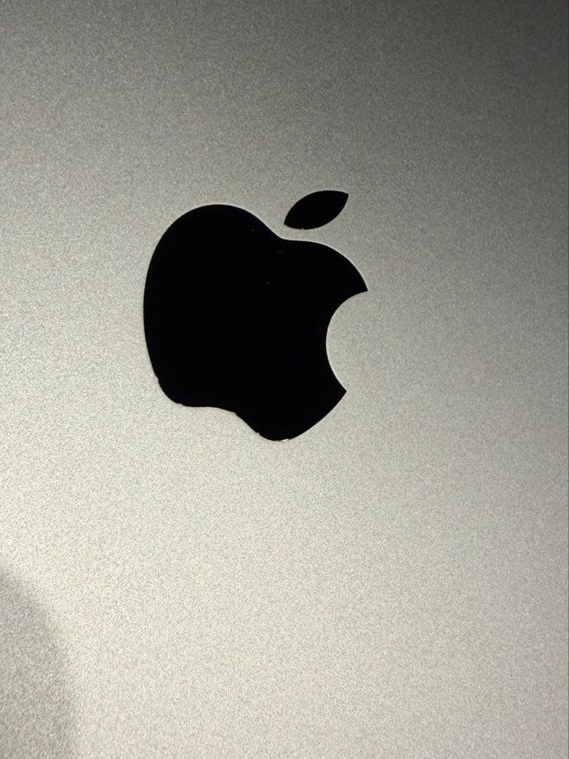iPad pro 11インチ　256GB スペースグレイ