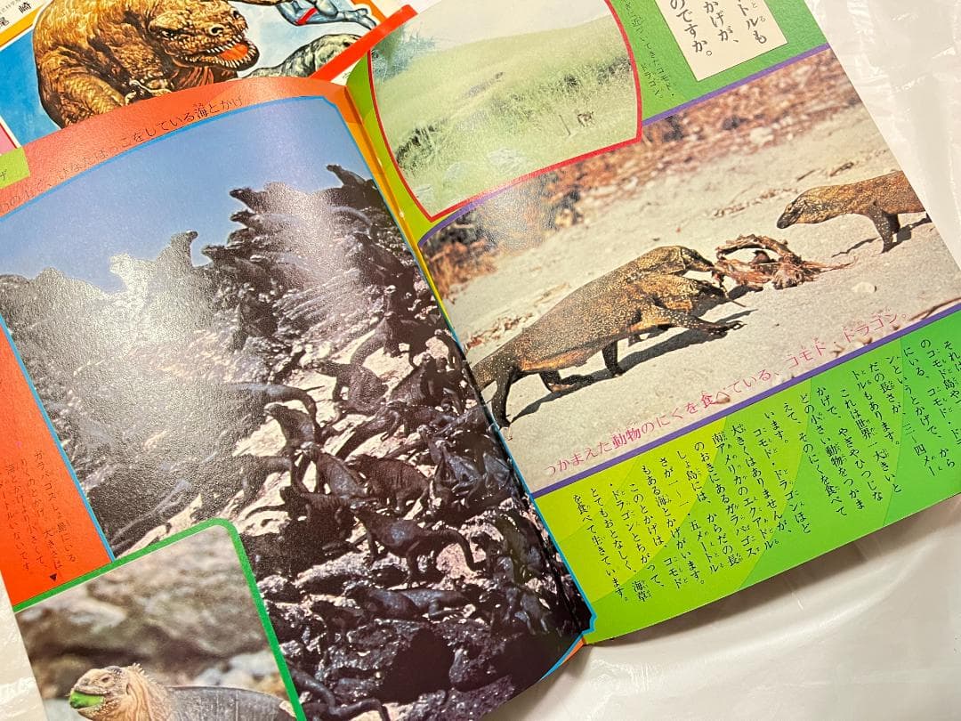 帯付き 小学館 なぜなに学習図鑑 11 もうじゅうと大怪獣