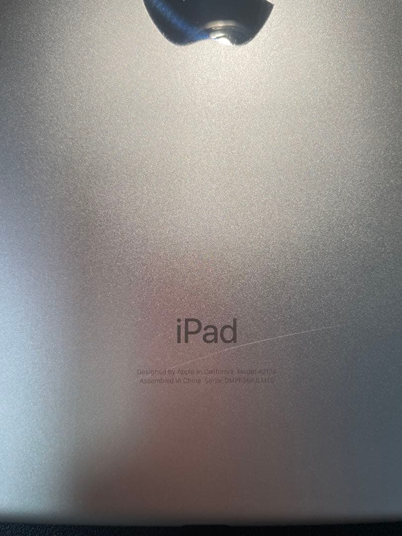 iPad mini 5 64GB Wi-Fi+Cellular 箱あり