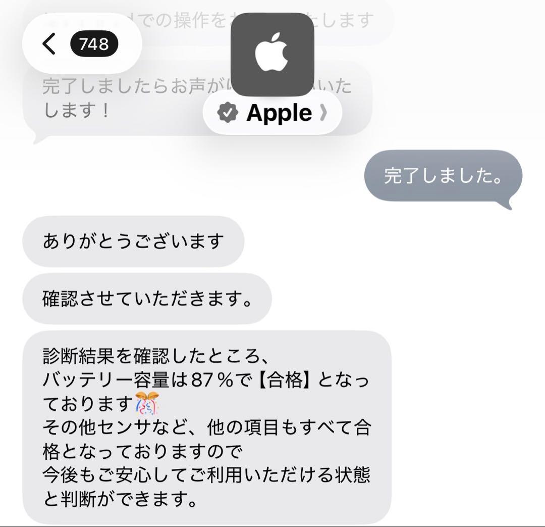 iPad mini 5 64GB Wi-Fi+Cellular 箱あり
