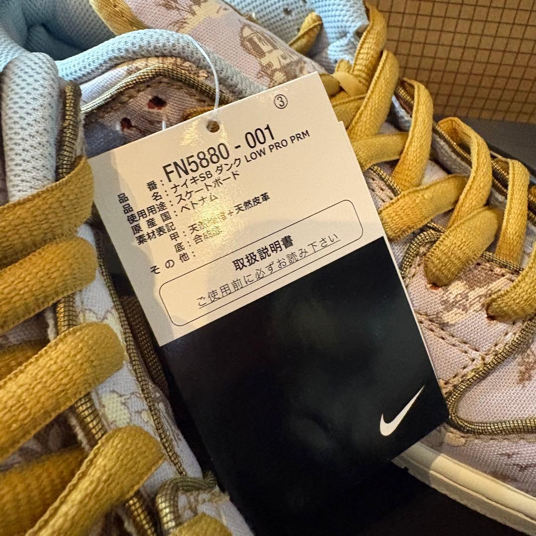訳アリ　Nike SB Dunk Low Pro PRM FN5880-001
