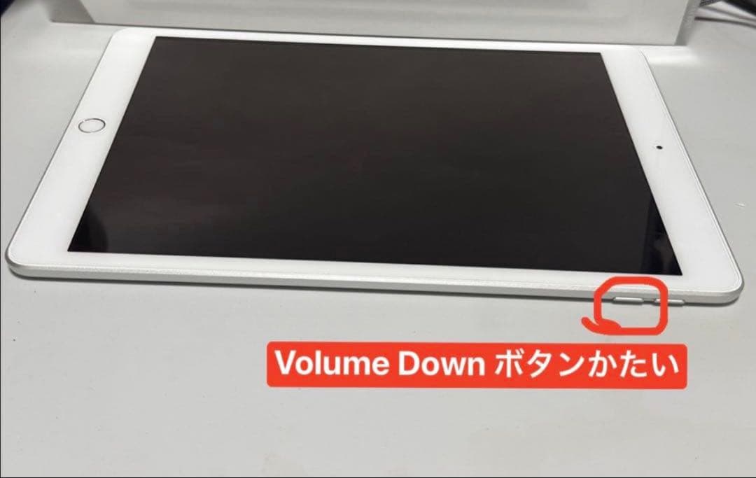 Apple iPad (第7世代) 32GB シルバーMW752J/A