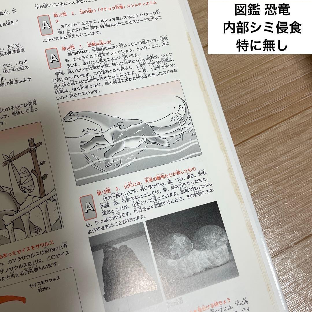 【人気シリーズ】小学館の図鑑neo 12冊まとめ／自由研究・知育本／図鑑中古本