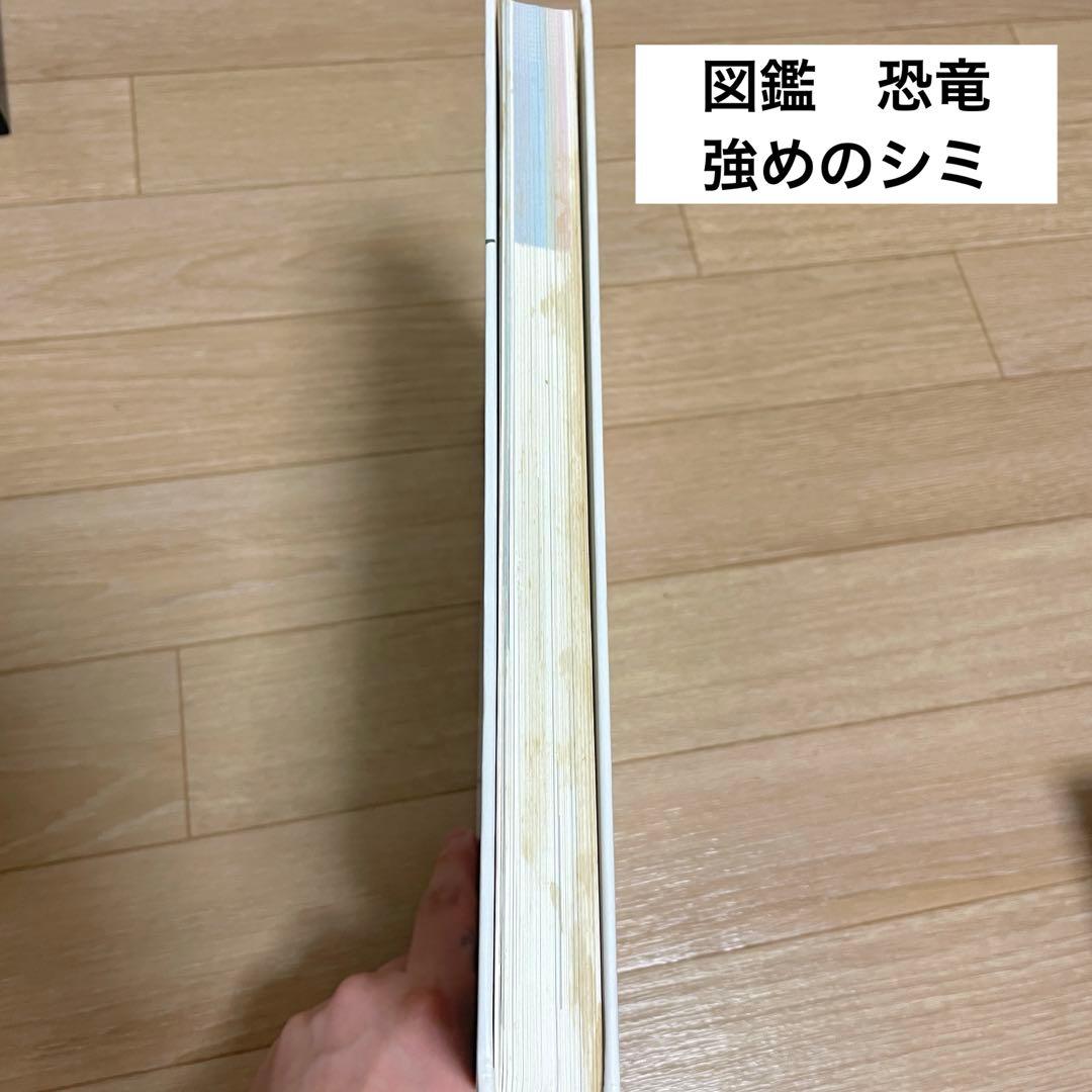 【人気シリーズ】小学館の図鑑neo 12冊まとめ／自由研究・知育本／図鑑中古本