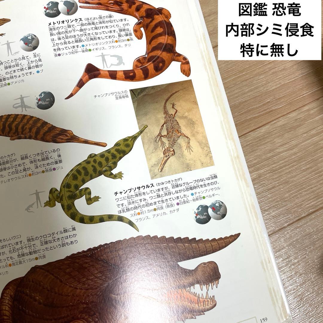 【人気シリーズ】小学館の図鑑neo 12冊まとめ／自由研究・知育本／図鑑中古本