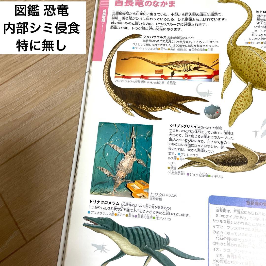 【人気シリーズ】小学館の図鑑neo 12冊まとめ／自由研究・知育本／図鑑中古本