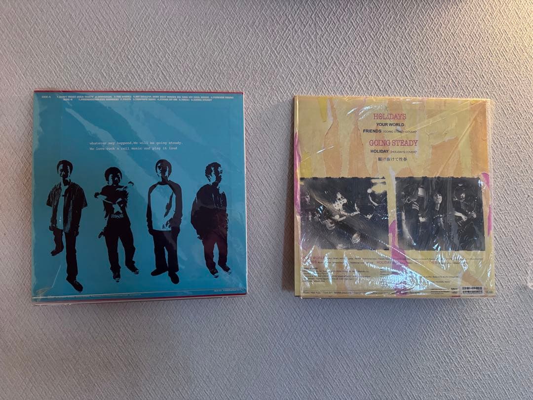GOING STEADY レコード　2枚　新品　アナログ　銀杏BOYZ