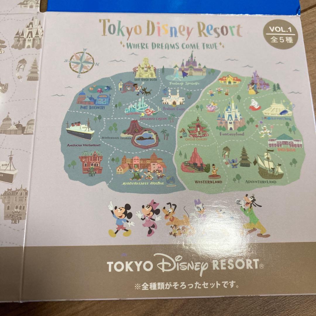 ディズニーリゾート　キーチェーン　コンプリート　ウェアドリームズカムトゥルー