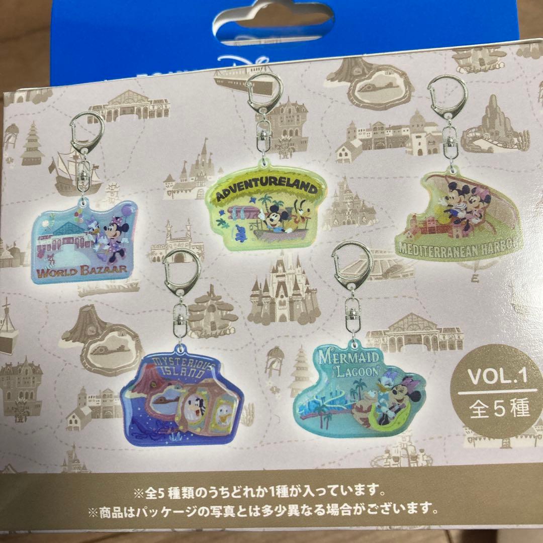 ディズニーリゾート　キーチェーン　コンプリート　ウェアドリームズカムトゥルー