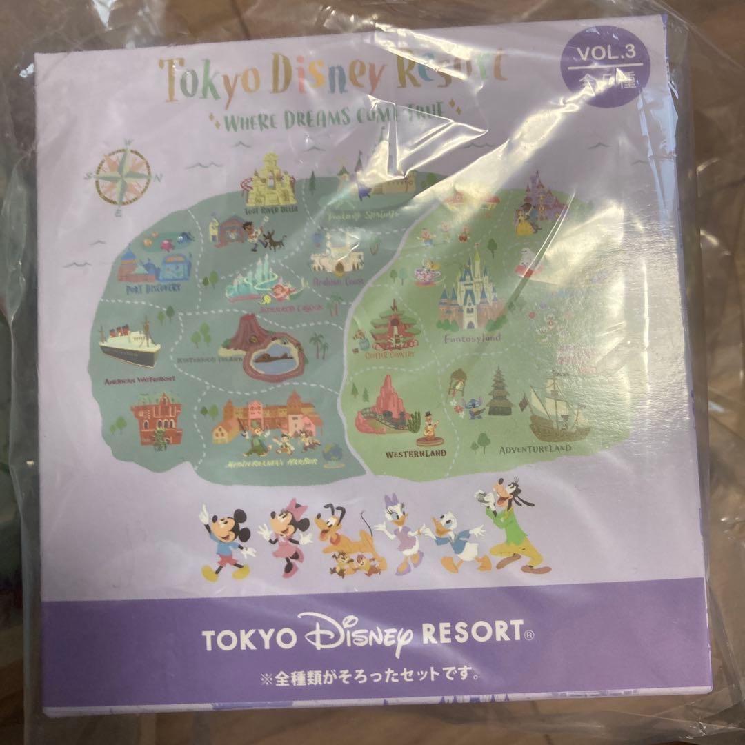 ディズニーリゾート　キーチェーン　コンプリート　ウェアドリームズカムトゥルー