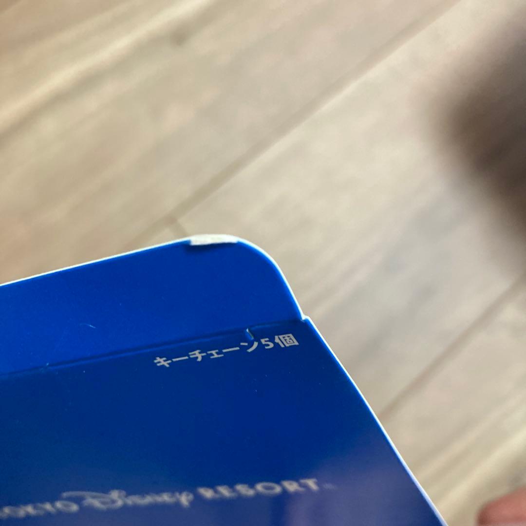ディズニーリゾート　キーチェーン　コンプリート　ウェアドリームズカムトゥルー