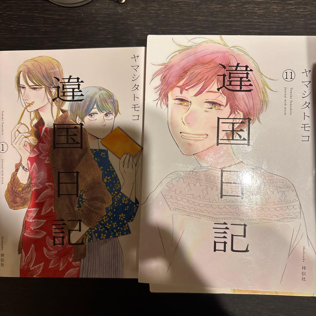 異国日記 1-11 全巻セット