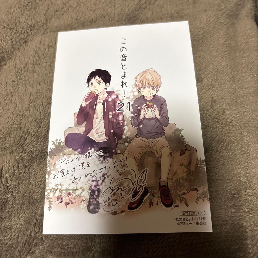 この音とまれ！ 全巻 1-33巻 アミュー アニメ化