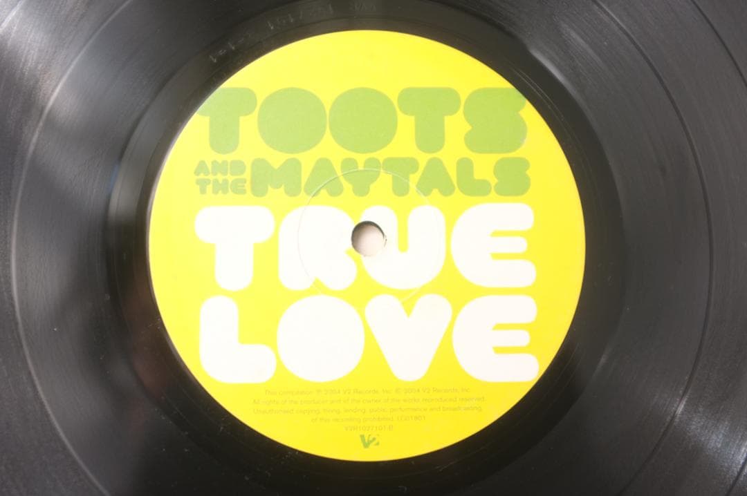 Toots & the Maytals / True Love LPレコード