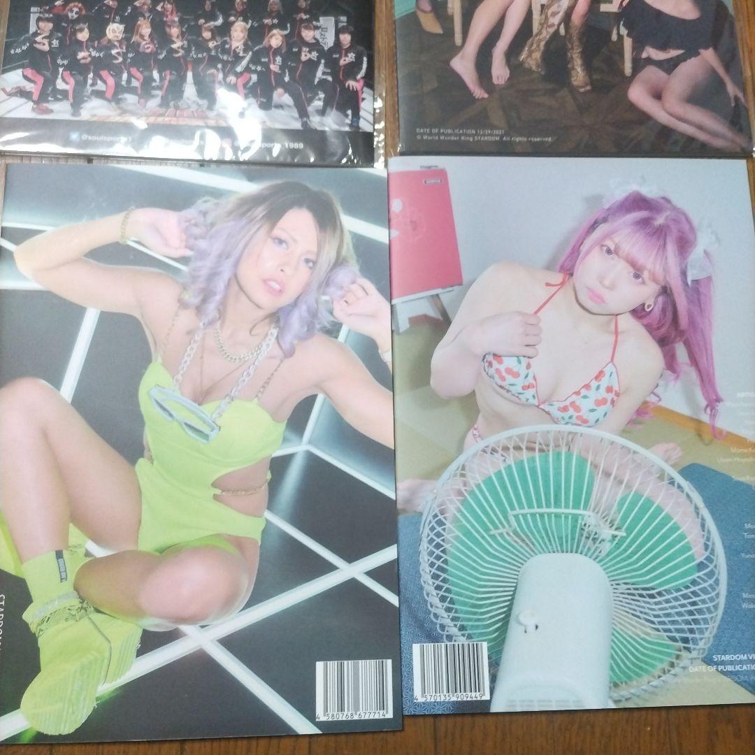 スターダ厶写真集、ビキニング、BiKiniing11、12、ビギニング、女子プロ