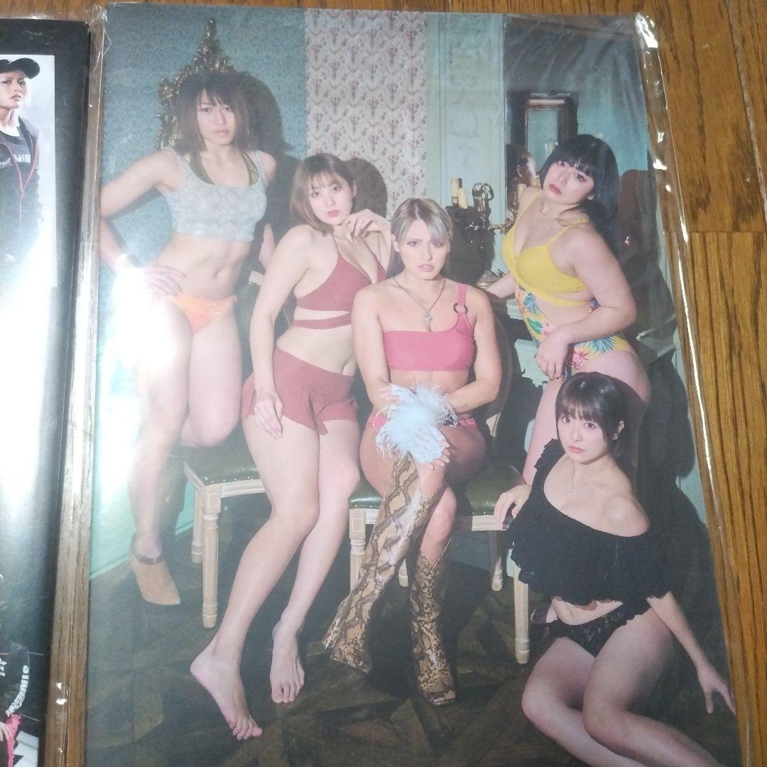 スターダ厶写真集、ビキニング、BiKiniing11、12、ビギニング、女子プロ