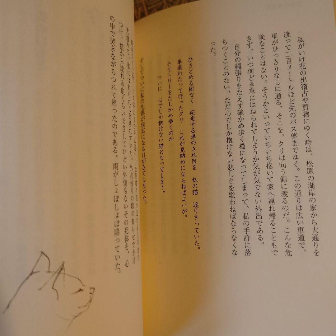 著者サイン本 / 井伊家の猫たち / 井伊文子 / 春秋社