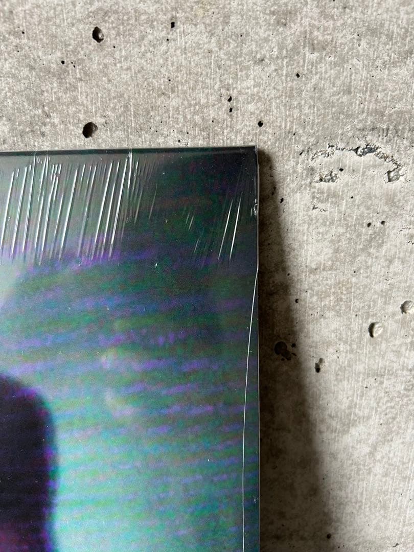 新品 JPEGMAFIA / The Ghost~Pop Tape レコードLP