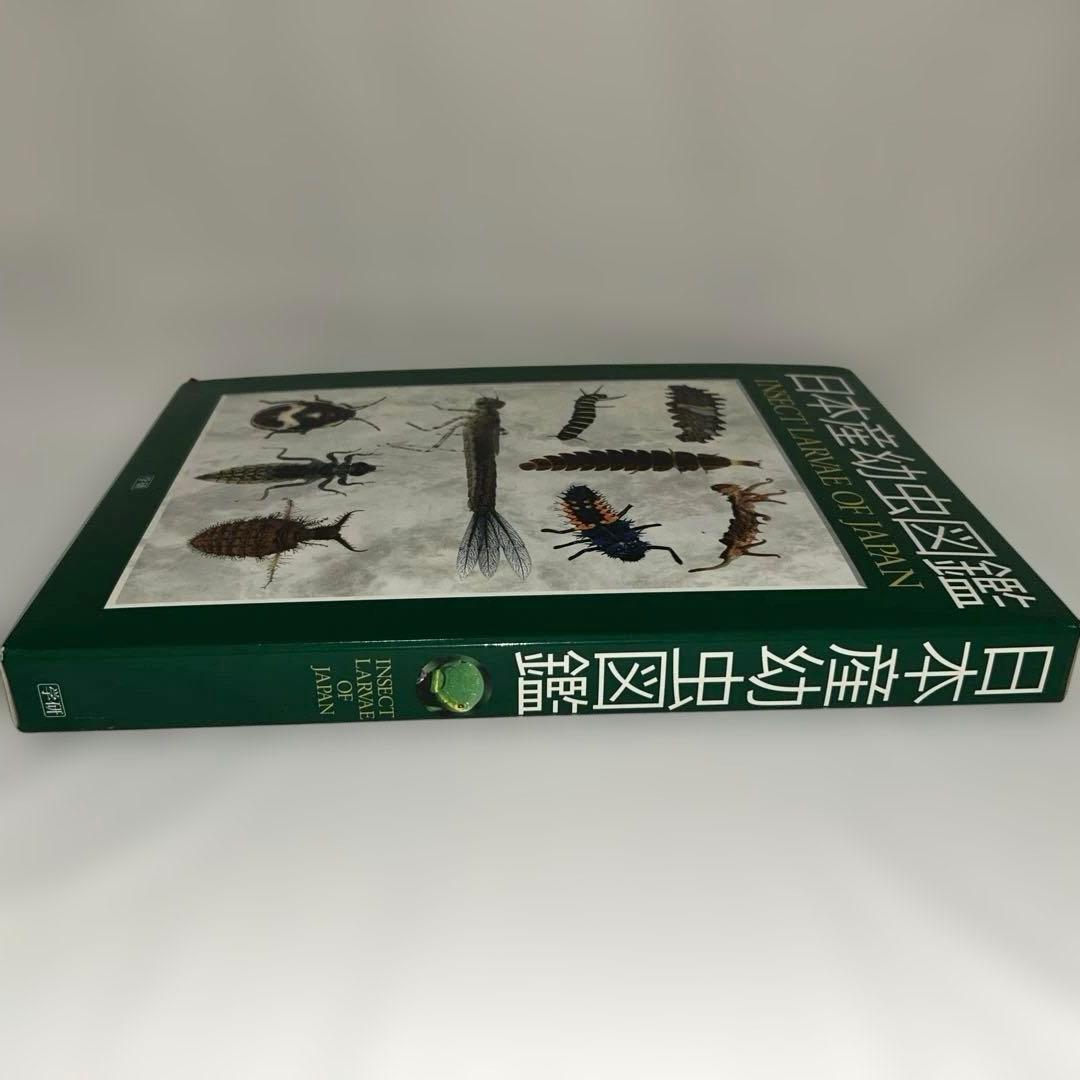 【学研】日本産幼虫図鑑