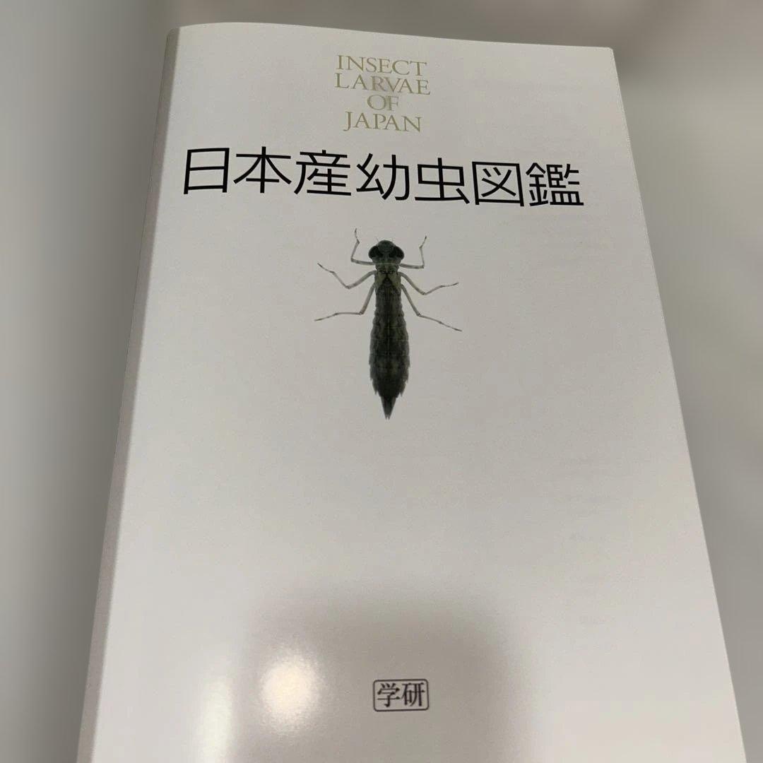 【学研】日本産幼虫図鑑